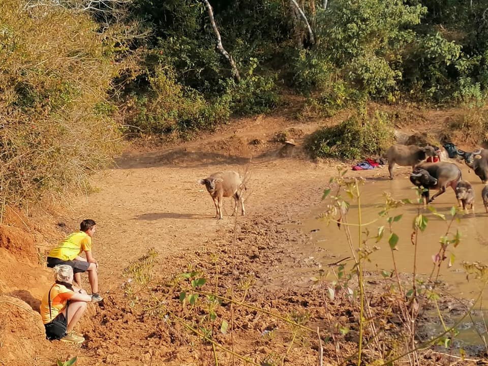 Tribes and Villages of the Chin Hills 7 Days